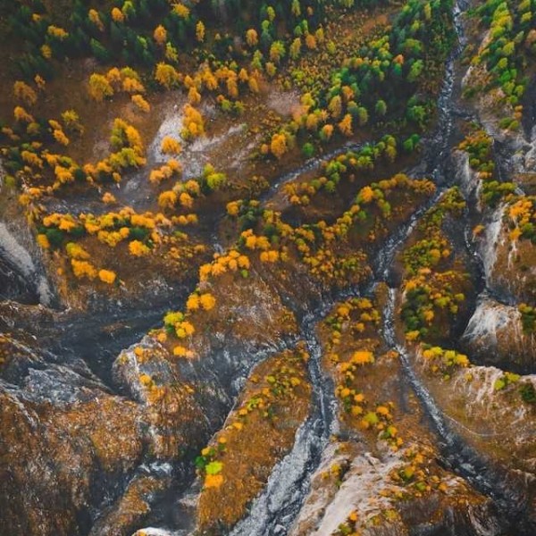 Image for test